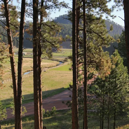 Mountain View Lodge & Cabins-3