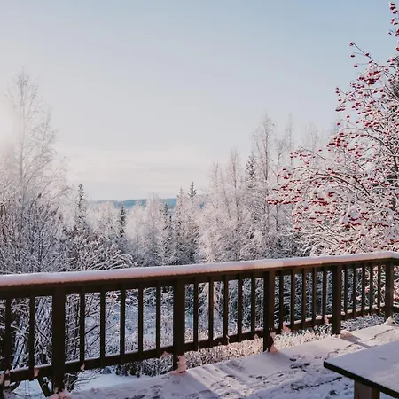 Moose Mountain Cabin- Cozy Retreat With Aurora Views-2