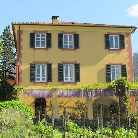 Villanova - Nature & Wellness-3