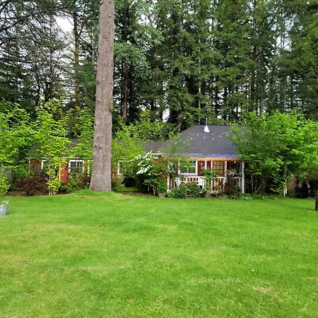 Moon Mountain Lodging-2