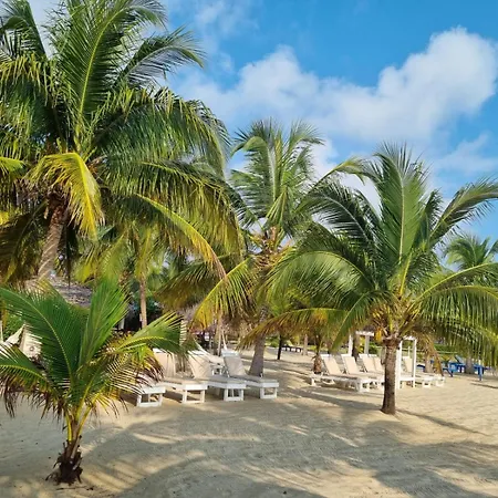 Caribbean Beach Cabanas-2