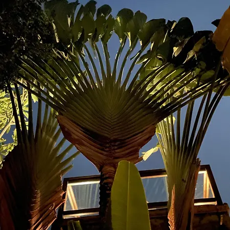 Bulan Di Bali-2