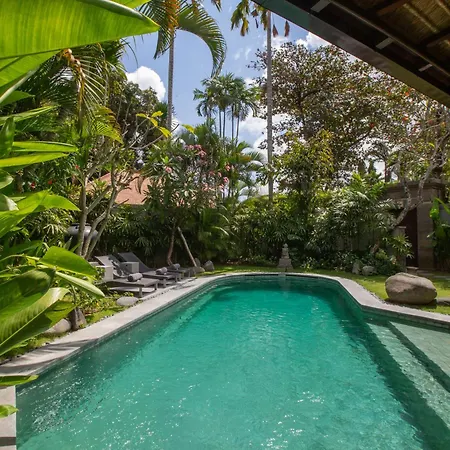 The Amala Boutique Retreat-2