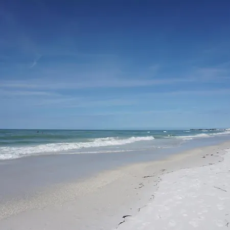 Anna Maria Island Tree House Pet Friendly!-2
