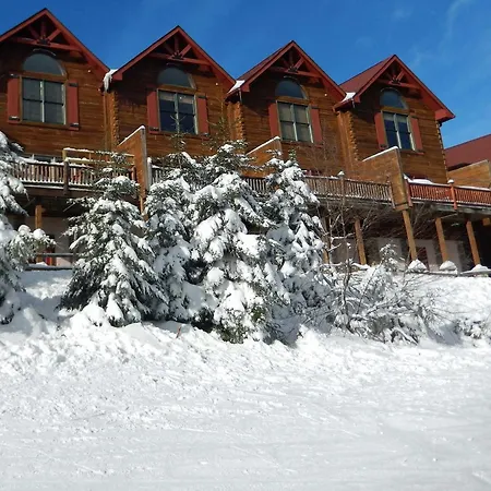 Loggers Run 8 - 5 Bedrooms, 3 & Half Baths-3