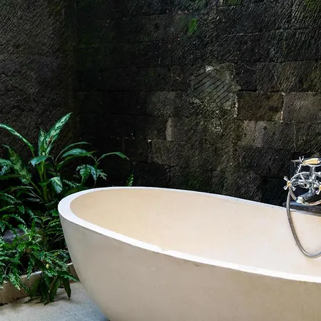 Natura Resort And Spa Ubud-3