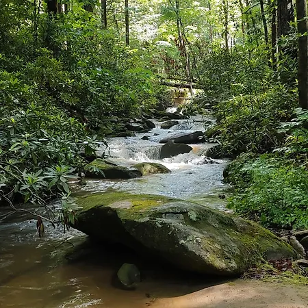 Falling Waters At Rumbling Bald-3