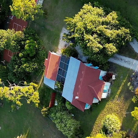 1Mi To Beach Jungle Bungalow 1 Acre With Pool-2