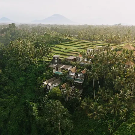 Magical Jungle Resort-2