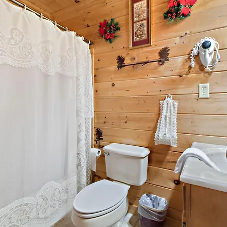 Alpine Ski Lodge-3