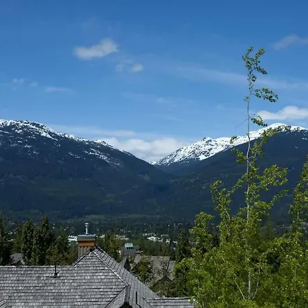 Beautifully Renovated, Fantastic Views Ski In Out 3 Beds - Mountain Star-3