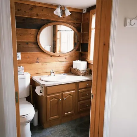 Denali Fireside Cabin & Suites-3