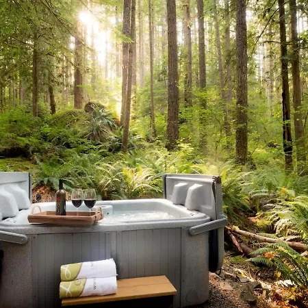 Treetop Hideaway, Sleeps 2-2