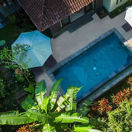 Dena'S Place Ubud-2