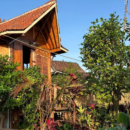 Jagadhita Villas Ubud Bali-2
