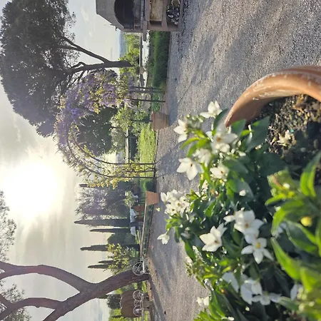 Villa Nobile Cortona-2