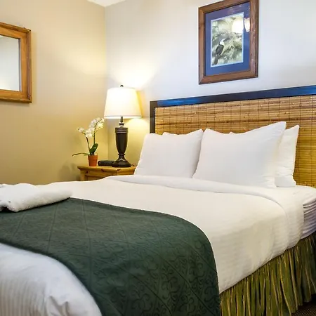 Sea Breeze Vacation Rentals-3