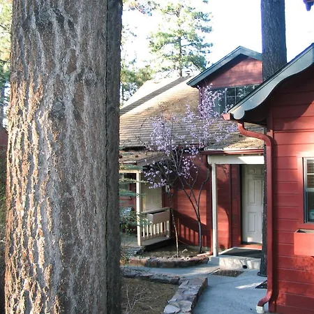 Cozy Hollow Lodge-3