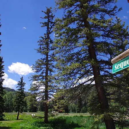 Sequoia-2