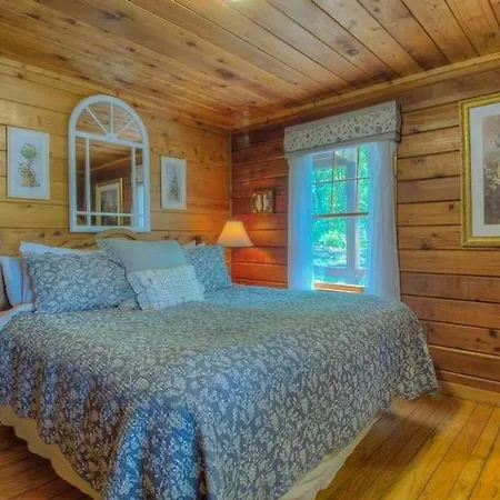 Eagles Nest- Pet Friendly | Screened Porch | Hot Tub | My Mountain-2
