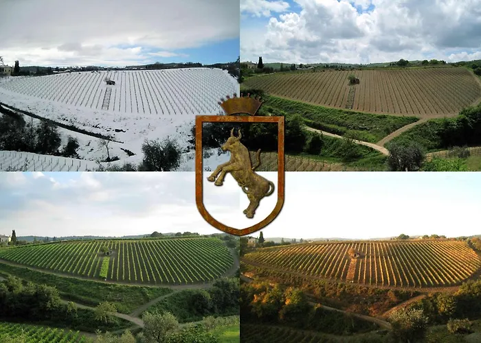 Colle Al Matrichese - Historic Winery Villa Montalcino