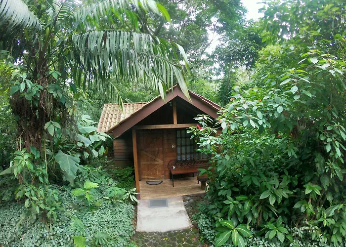 Arenal Oasis Eco Lodge & Wildlife Refuge La Fortuna