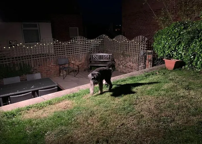 Award Winning Pet Friendly Paddock Cottage Whitby