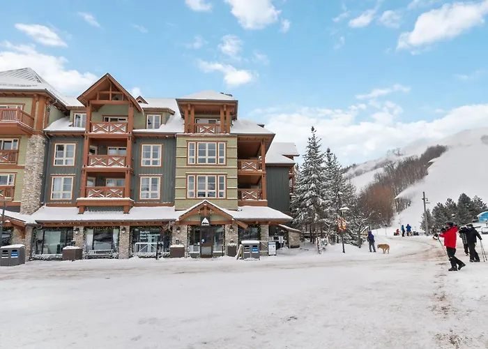 Modern Mountainside Ski In Ski Out 87111 Blue Mountains