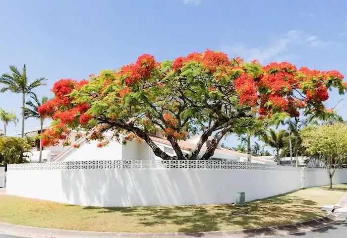 Poinciana House—Luxury Noosa Retreat Close To Beach