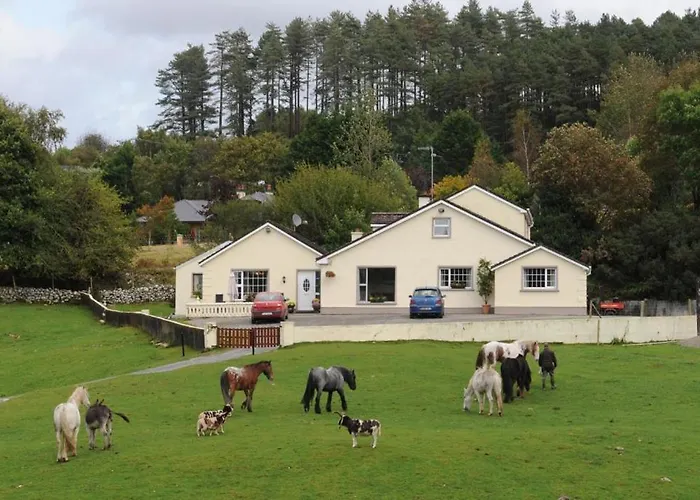 Muckross Riding Stables Killarney