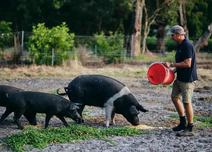 Burnside Organic Farm Villa Margaret River