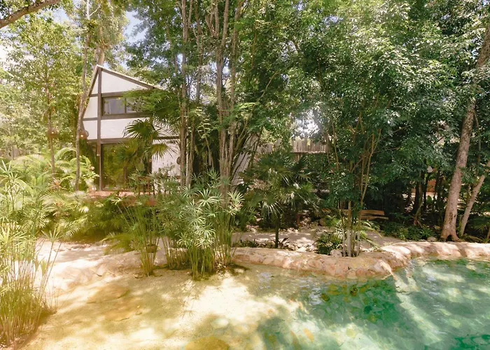 Nahouse Jungle Lodges Tulum
