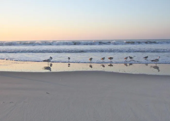 Array Of Sunshine Villa Isle of Palms