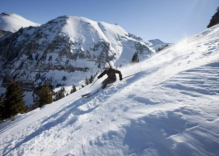 Wapiti Rd 858 ~ The Tucker Inn Telluride