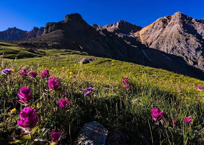 Wapiti Rd 858 ~ The Tucker Inn Telluride