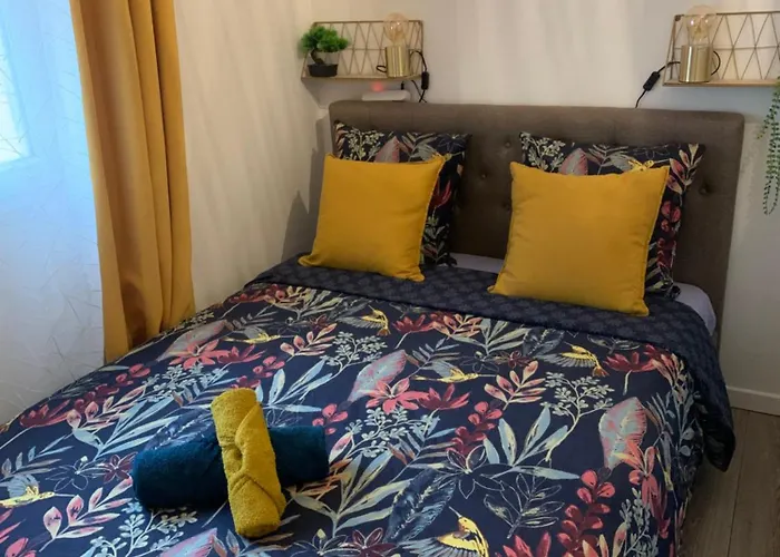 Paris Jolie Studio Cosy