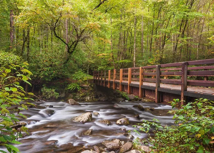 Mountain Mischief, Pool Table, Hot Tub,, Wifi, 1089 Free Tickets Each Paid Day, Dollywood And More Sevierville