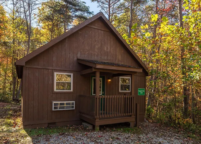 Blue Rose Cabins - Naughty Pine Cabin Logan