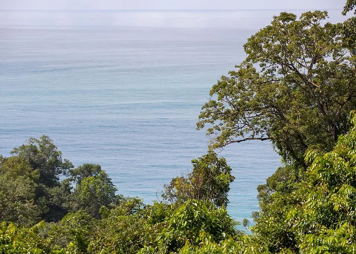 El Remanso Rainforest Lodge Puerto Jiménez