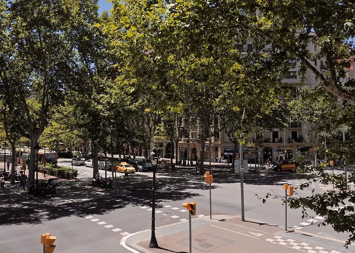 Barcelona Central Park II