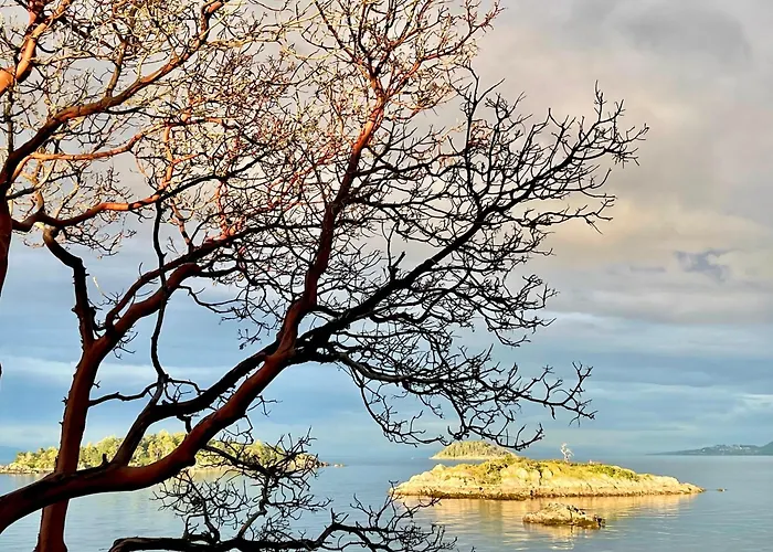 Endless Coastal Views Peaceful B&B In Nanoose Bay