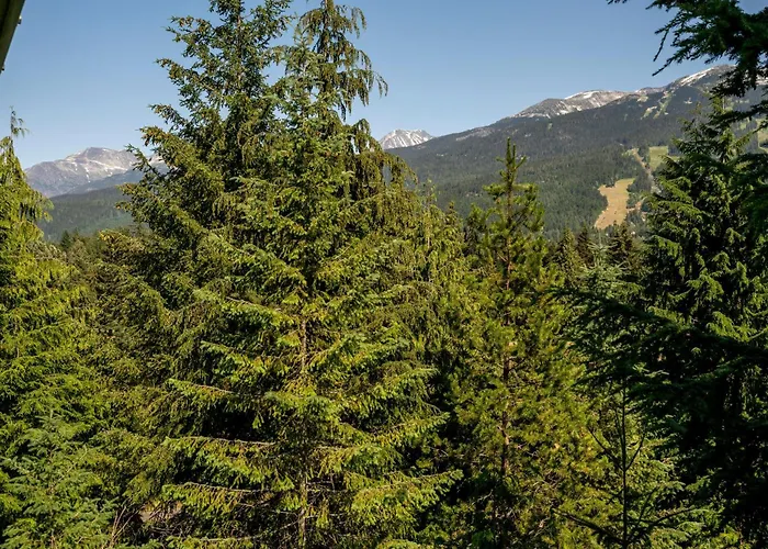 Nighthawk 3335 | Contemporary Townhome With Hot Tub And Stunning Mountain Views Whistler