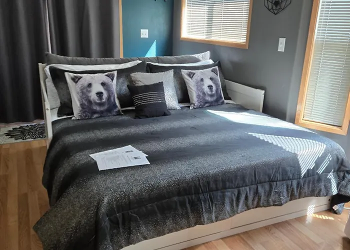 The Bogi Bear Inn Forks