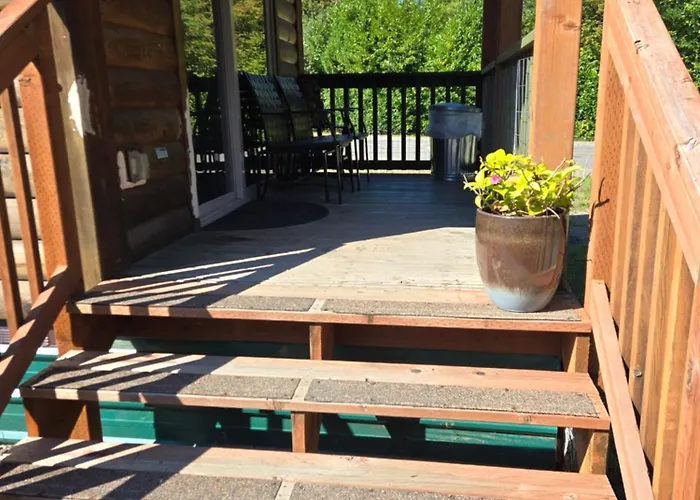The Bogi Bear Inn Forks