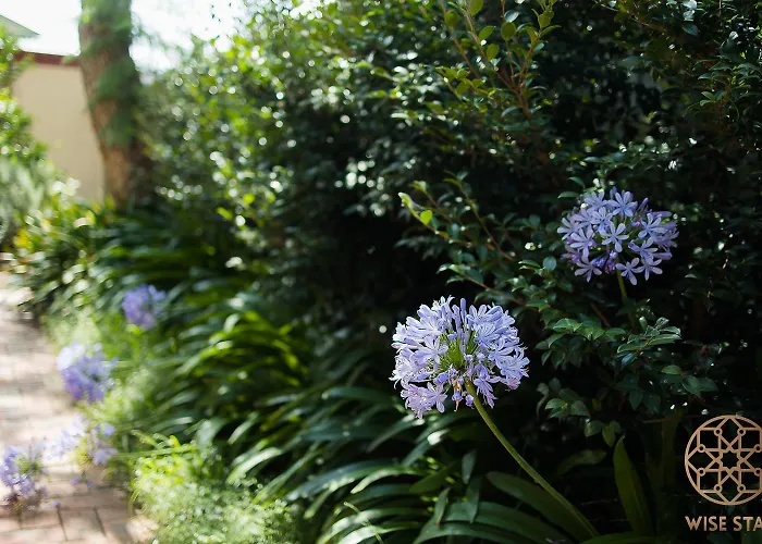 Greenwich Luxury Near Wharftraincbd Steps To Sea Sydney