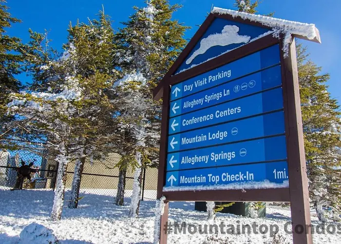 Stemwinder 5 Spacious Townhome Short Distance To Powder Monkey Lift Snowshoe