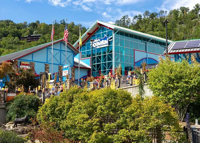 A Natural High Sevierville