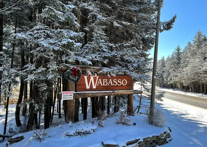 Wabasso 8 Cozy Snowshoe Retreat Covered Ez Parking Wifi Deck