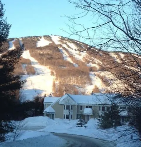 Mount Snow Greenspring 41D West Dover