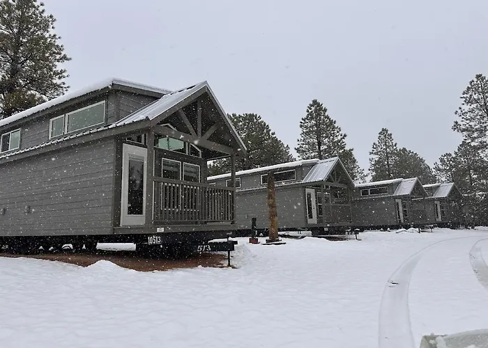 Cozy Cabin By Forest View 5B Williams
